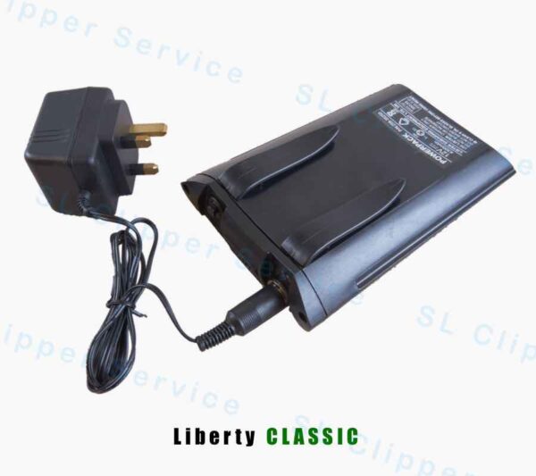 Lister Liberty Battery Charger - SL Service